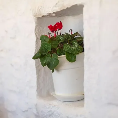 Elliah Hébergement de vacances *