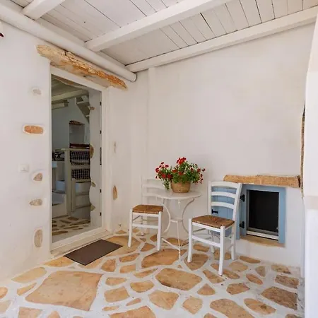 Elliah Moni Christou Dasous