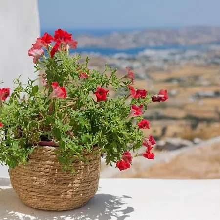 Elliah Hébergement de vacances