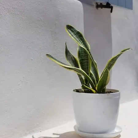 Elliah Hébergement de vacances Moni Christou Dasous