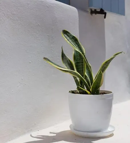 Elliah 別荘 Moni Christou Dasous