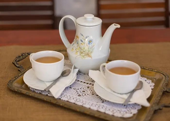 Elliah Moni Christou Dasous