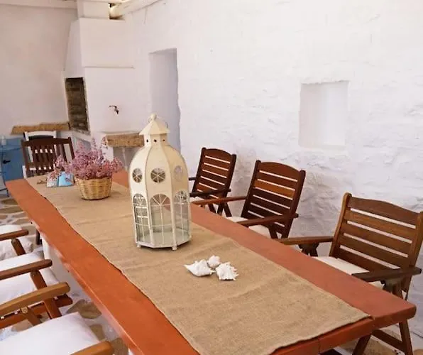 Elliah Moni Christou Dasous